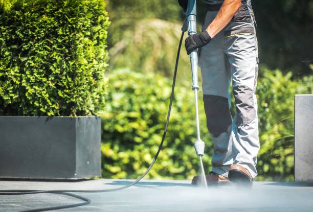 Animal Enclosure Cleaning in Dade City, FL