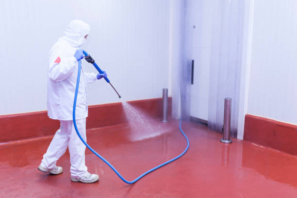 Best Sidewalk and Walkway Cleaning  in Dade City, FL